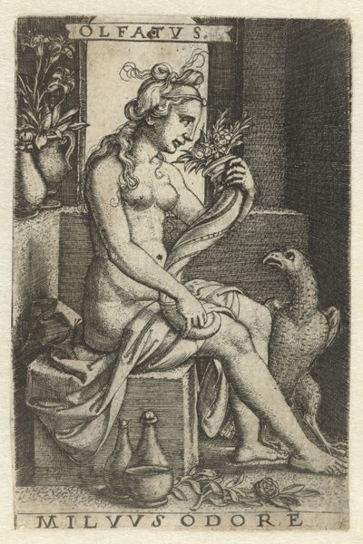 Reuk (Olfactus) door Georg Pencz