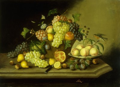 Stilleven met een mand druiven en gemengd fruit op een stenen richel door Georg Seitz