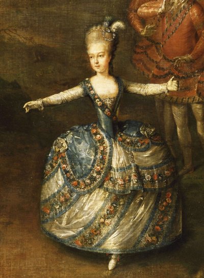 Feest Georganiseerd om het Huwelijk van Keizer Jozef II met Prinses Marie-Josèphe van Beieren te Vieren door Johann Georg Weikert