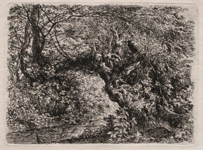 De Oude Wilg bij een Beek, 1794 door Georg von Dillis
