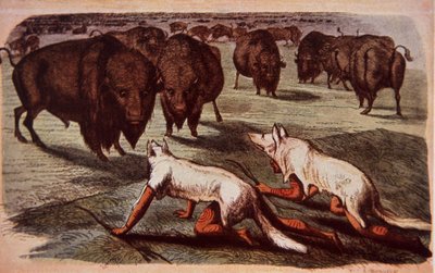 Noord-Amerikaanse prairie-indianen besluipen grazende buffels terwijl ze wolvenvellen dragen, ca. 1840 door George (after) Catlin