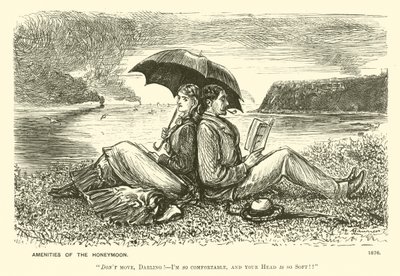 De Geneugten van de Huwelijksreis door George (after) Du Maurier