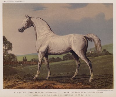 Nambrino, gefokt door Lord Grosvenor, in het bezit van de Markies van Westminster, op Eaton Hall door George (after) Stubbs