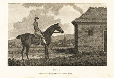 Portret van het volbloed renpaard Otho door George (after) Stubbs