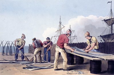 Vissers schrapen en reinigen de resten van walvissen uit 