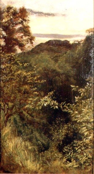 The Glen, Naworth, Cumbria door George 9th Earl of Carlisle Howard
