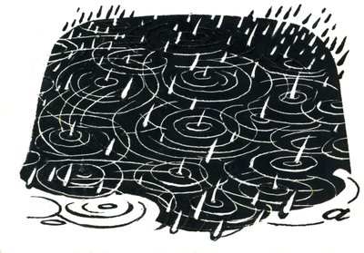Regenplas ontwerp door George Adamson