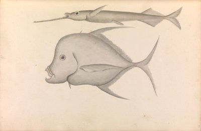 Verslag van Commodore George Anson