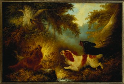 Spaniëls die een fazant opjagen door George Armfield