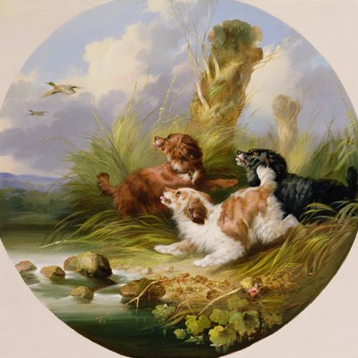 Drie Spaniëls die Wilde Eenden Opjagen door George Armfield