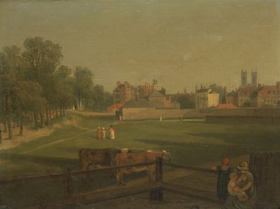 Een westelijk uitzicht op een deel van Westminster en Bird Cage Walk, vanaf Mill House door George Arnald