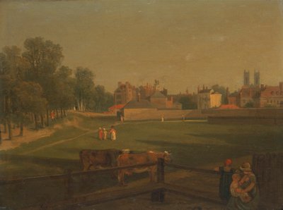 Een westelijk uitzicht op een deel van Westminster en Bird Cage Walk genomen vanaf het molenhuis door George Arnald