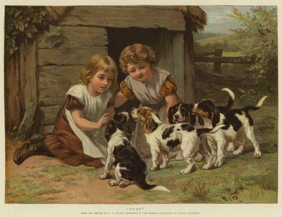 Pups door George Augustus Holmes