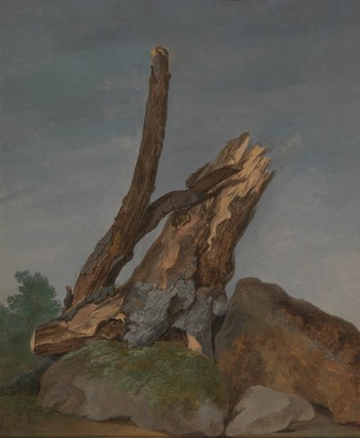 Studie van rotsen en takken door George Augustus Wallis