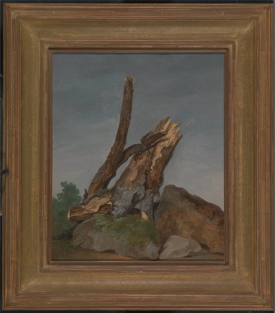 Studie van rotsen en takken door George Augustus Wallis