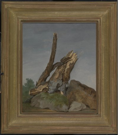 Studie van Rotsen en Takken, c.1795 door George Augustus Wallis