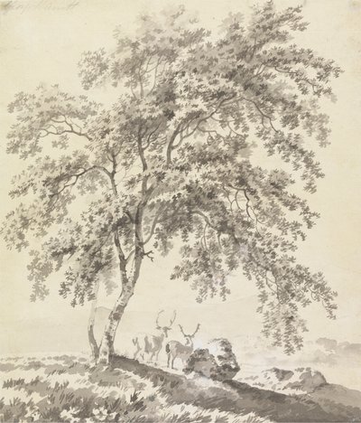 Boomstudie met herten (landschap) door George Barret