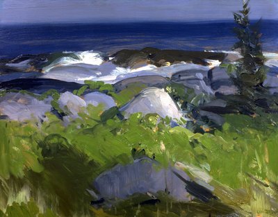 Met wijnranken begroeide kust - Monhegan-eiland door George Bellows