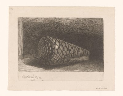 De schelp door George Bickham (II)
