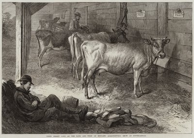Prijs Jersey Koeien op de Bath en West of England Agricultural Show in Southampton door George Bouverie Goddard