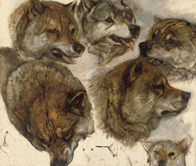 Studies van huskykoppen door George Bouverie Goddard