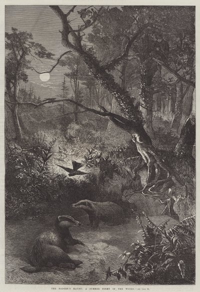 Het hol van de das, een zomernacht in het bos door George Bouverie Goddard