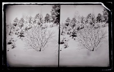 Prospect Park, Brooklyn, ca. 1872-87 door George Bradford Brainerd