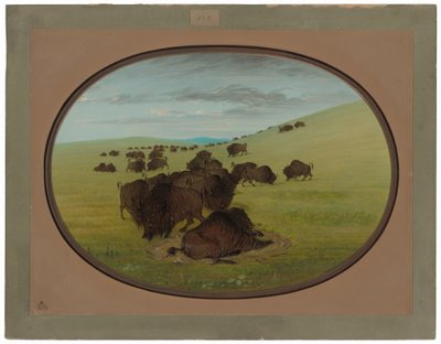 Een Buffelpoel door George Catlin