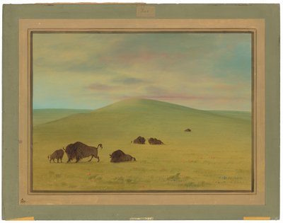Amerikaanse weide - Prairies van de Platte door George Catlin