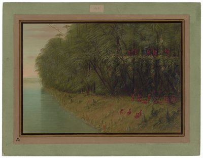 Een Amazonebos - Kijken naar de Oever door George Catlin