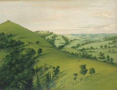 Graf van de merel, een achteraanzicht, prairies geëmailleerd met bloemen, 1832 door George Catlin