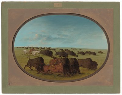 Buffeljacht, met Ongelukken door George Catlin