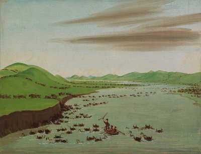 Buffelkuddes die de Boven-Missouri oversteken door George Catlin