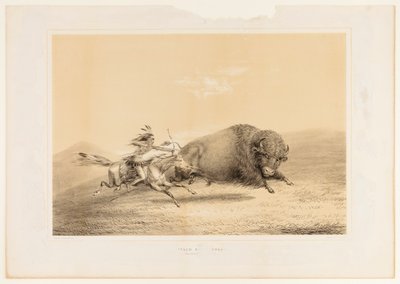 Buffeljacht, jacht--nr. 5 door George Catlin