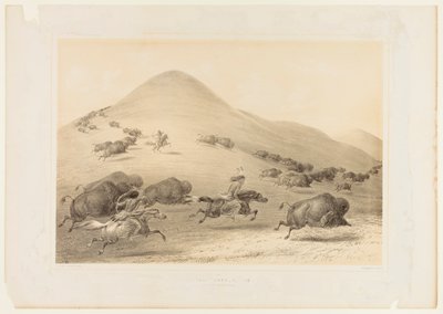 Buffeljacht, jacht nr. 6 door George Catlin