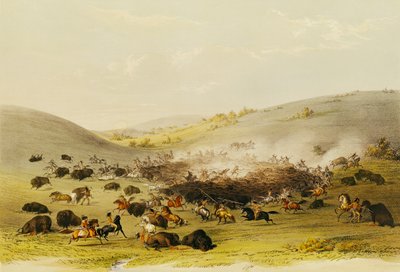 Buffeljacht, omsingeling, c.1832 door George Catlin