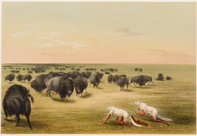  door George Catlin