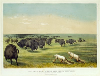  door George Catlin