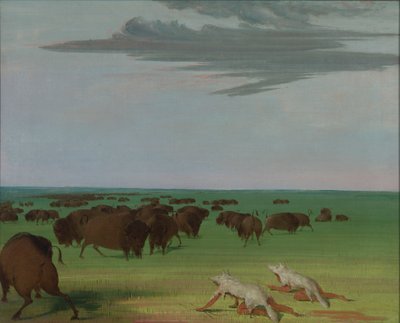 Buffeljacht onder het wolfshuidmasker, 1832-1833 door George Catlin