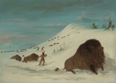 Buffalo Lancing in de sneeuwdriften - Sioux door George Catlin