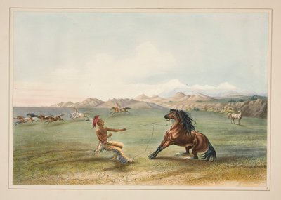 Het Vangen van het Wilde Paard, pl. 4 uit de North American Indian Portfolio door George Catlin