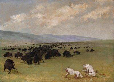 Catlin en zijn Indiaanse gids naderen buffels onder witte wolfshuiden door George Catlin