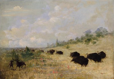 Elanden en buffels grazen tussen prairiebloemen, Texas door George Catlin