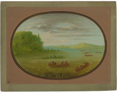 Wilde rijst verzamelen - Winnebago door George Catlin