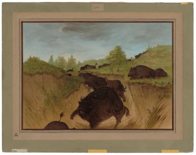 Grizzlyberen die buffels aanvallen door George Catlin