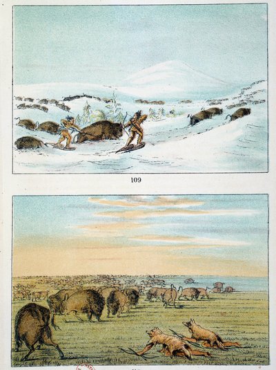 Indianen van Amerika. Bisonjacht: Indianen dragen sneeuwschoenen om in de winter te jagen en bedekken zich met wolvenhuid in de zomer. Illustratie door George Catlin (1794-1872) door George Catlin
