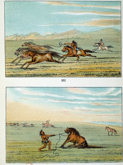 Indianen van Amerika: hoe wilde paarden te vangen. Illustratie door George Catlin (1794-1872) door George Catlin