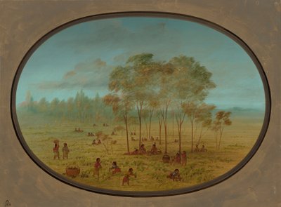 Kiowa Indianen verzamelen wilde druiven, 1861-1869 door George Catlin