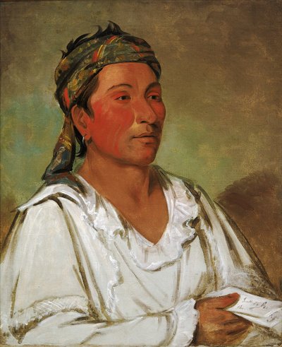 Lay-lóo-ah-pee-ái-shee-kaw, gras, struik en bloesem, semibeschaafd door George Catlin