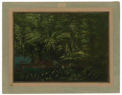 Weelderig Bos aan de Oever van de Amazone door George Catlin